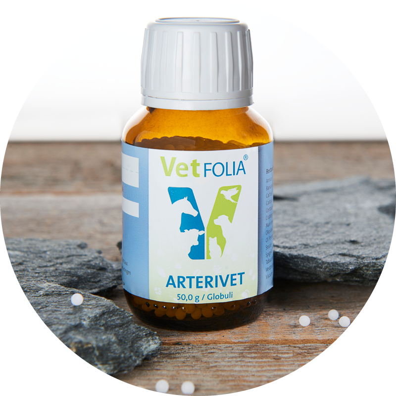 Vetfolia® Arterivet®