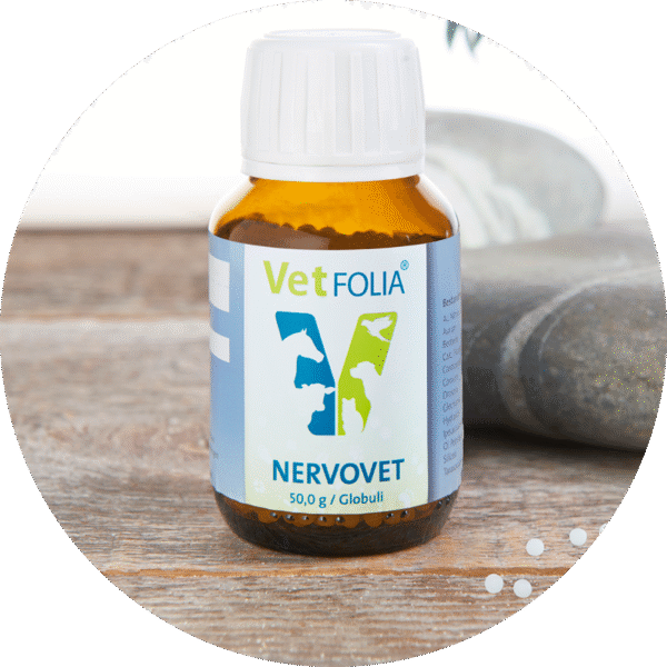 TRP_vertfolia_produkte-rund_800px_nervovet