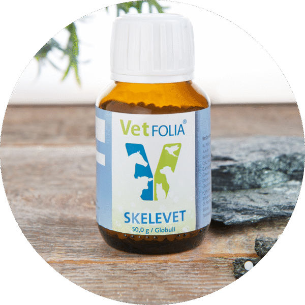 TRP_vertfolia_produkte-rund_800px_skelevet